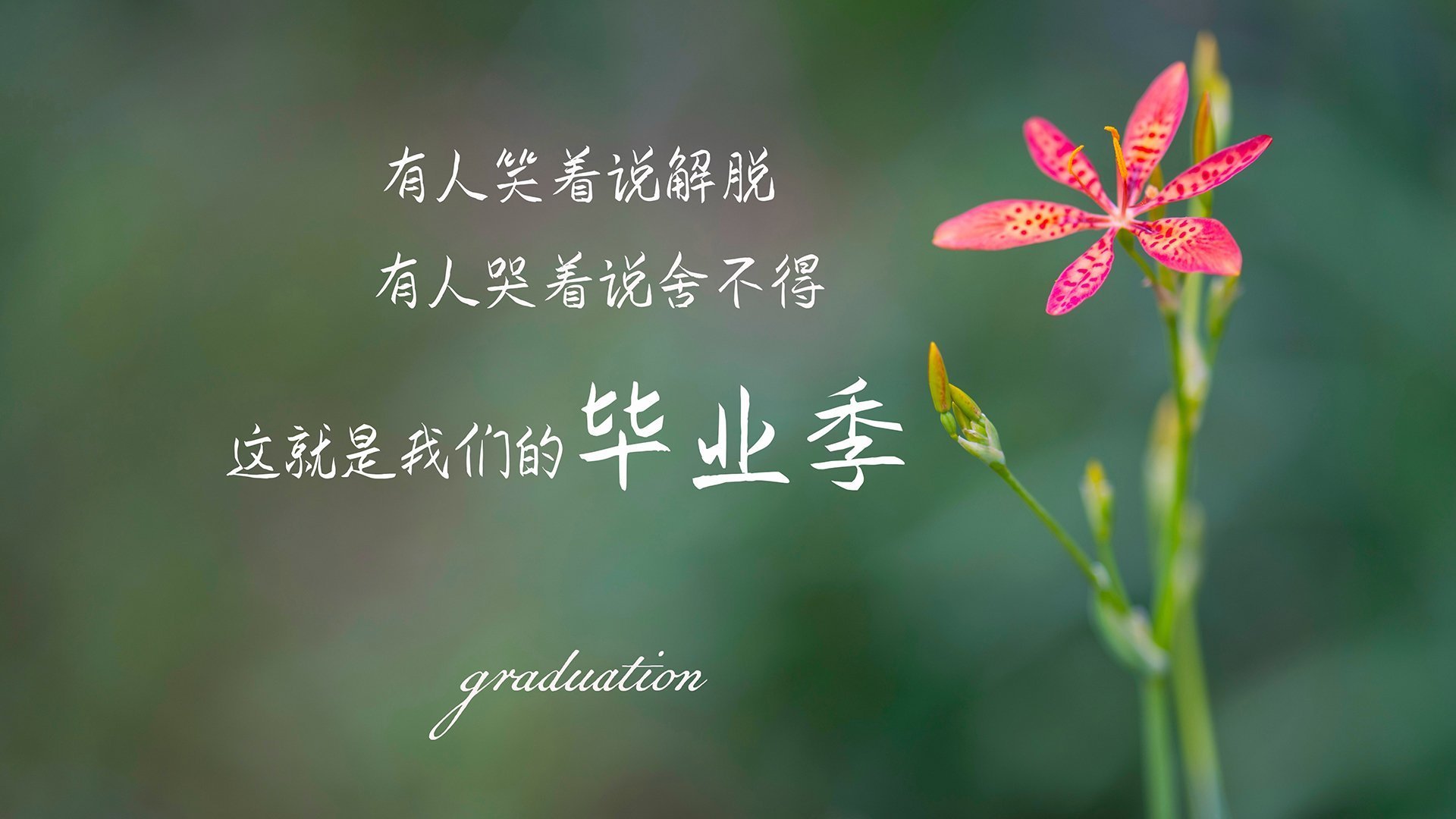 太阳队频频刷新纪录，豪取十连胜，太阳队频频刷新纪录,豪取十连胜是哪一集