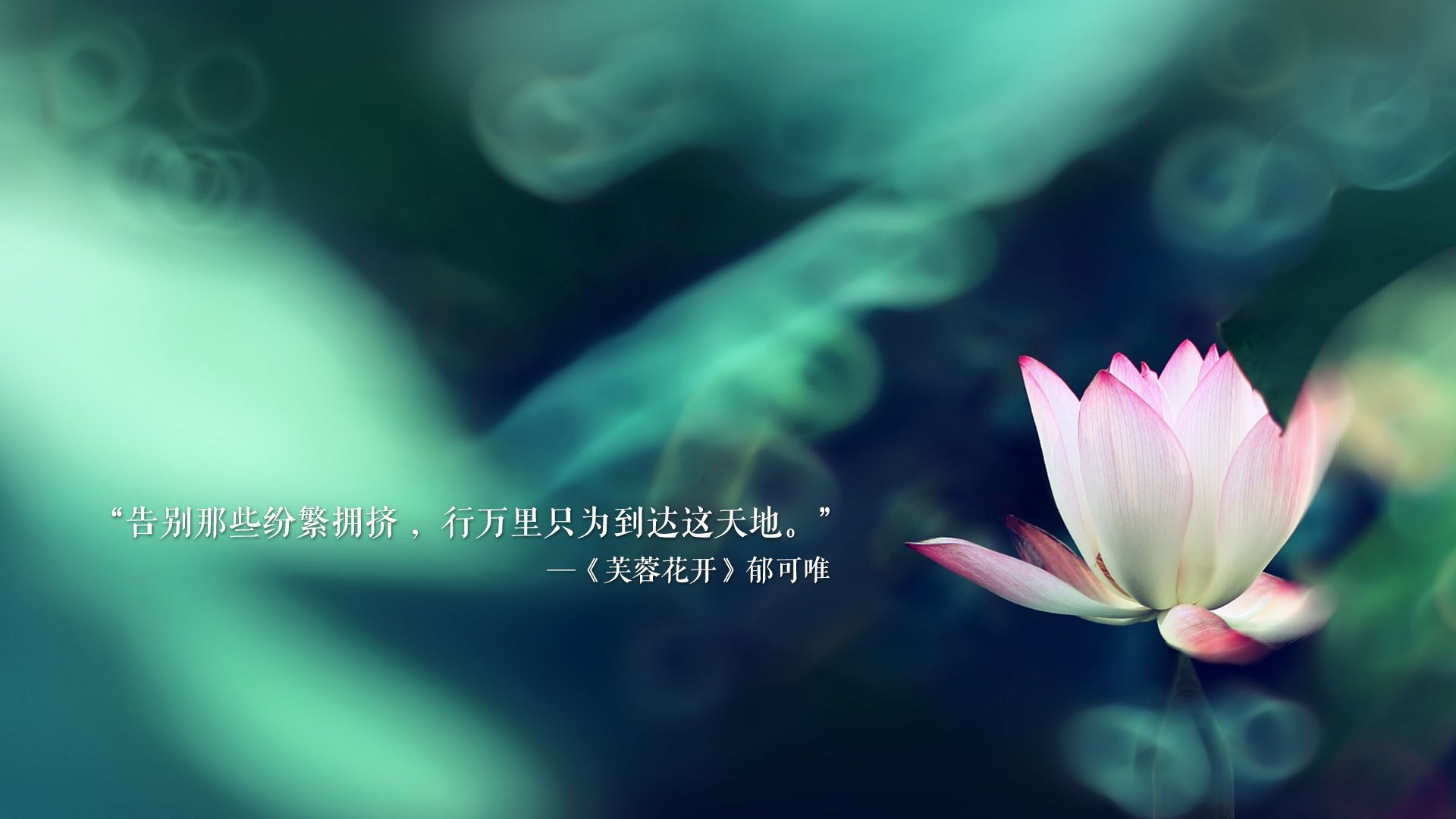 太阳队主场失利，球员状态起伏不定，太阳队主场胜率