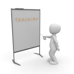 体育教学信息化资源整合与应用研究，体育课信息化教学方案
