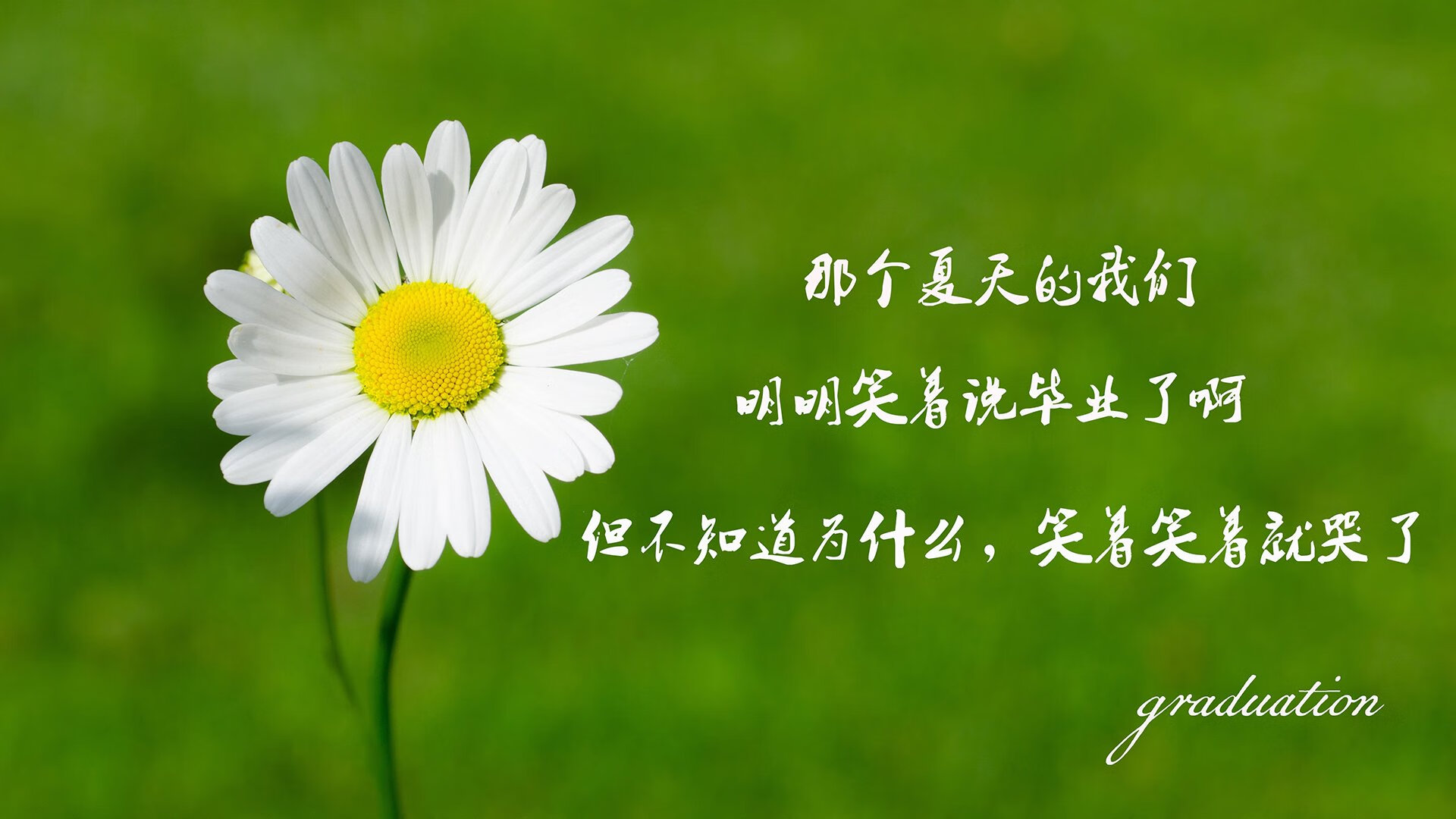 意甲球队引入AI语义解析提升战术会议信息传达清晰度，意甲专区