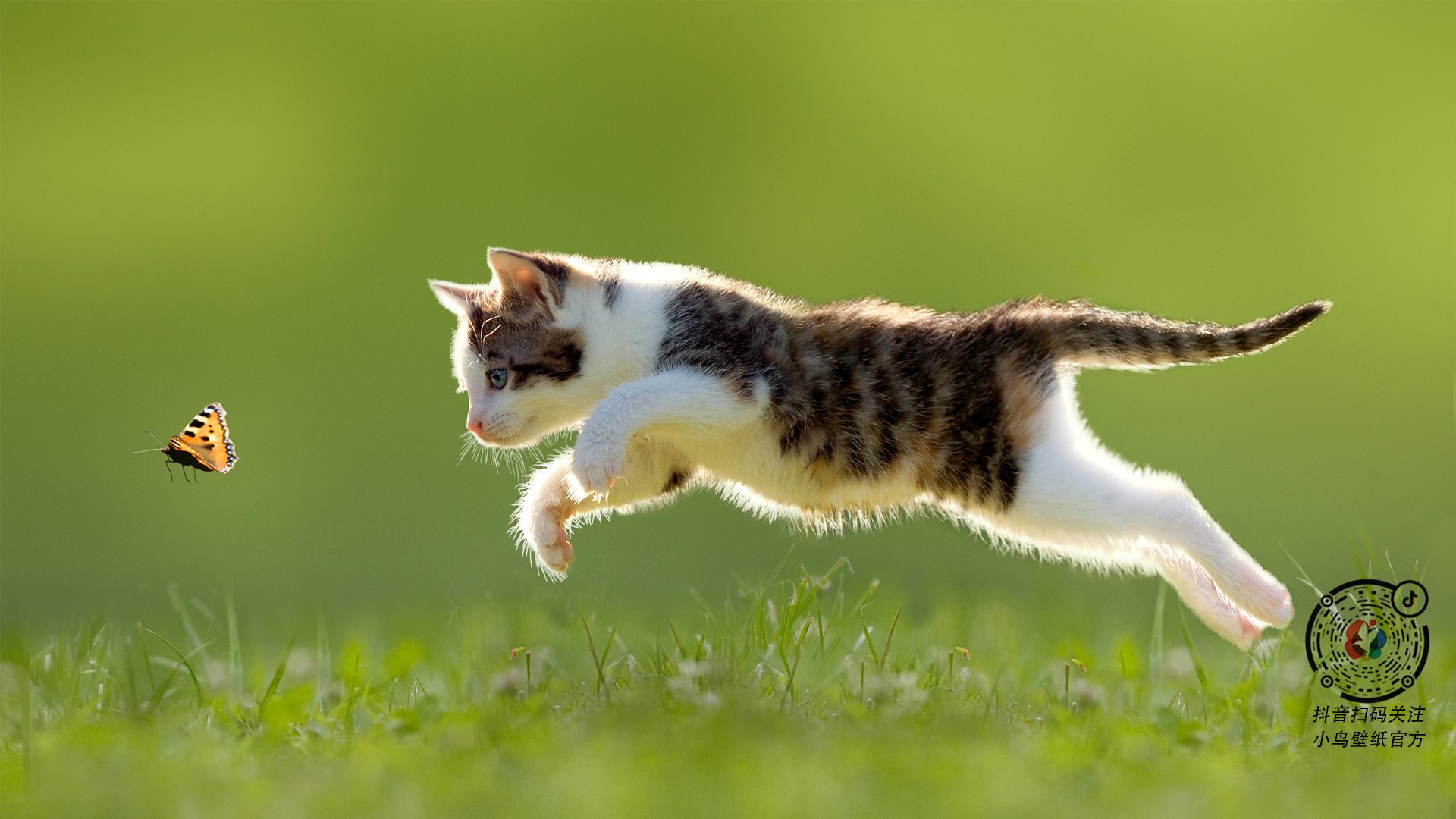 冰雪运动研学项目助力青少年寒假实践体验，学校冰雪研学活动主题