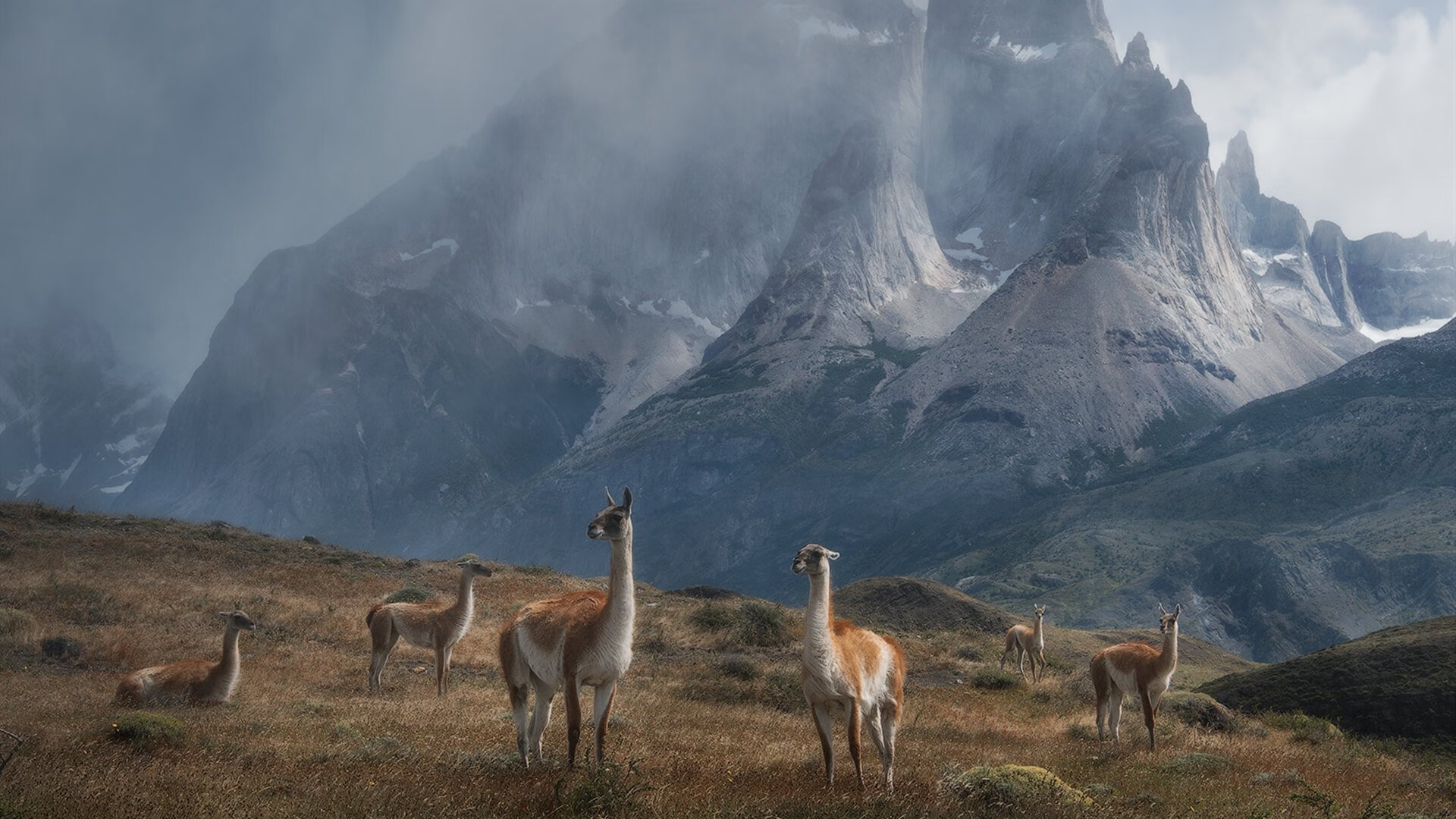 抢断效率最高球员本赛季表现，抢断犯规吗