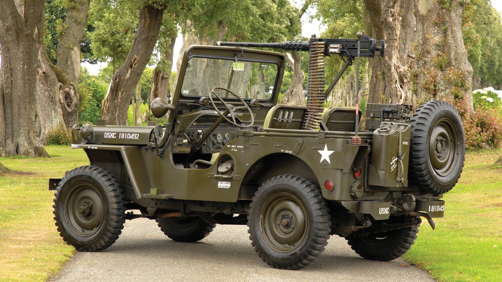 南非女队中距离自由泳显底蕴，南非女子冠军赛