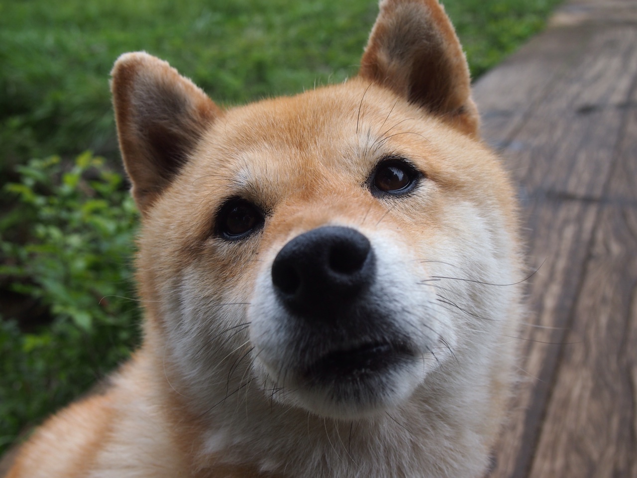 塞尔·拉恩：全黑队的“冲刺之星”，突破速度惊人