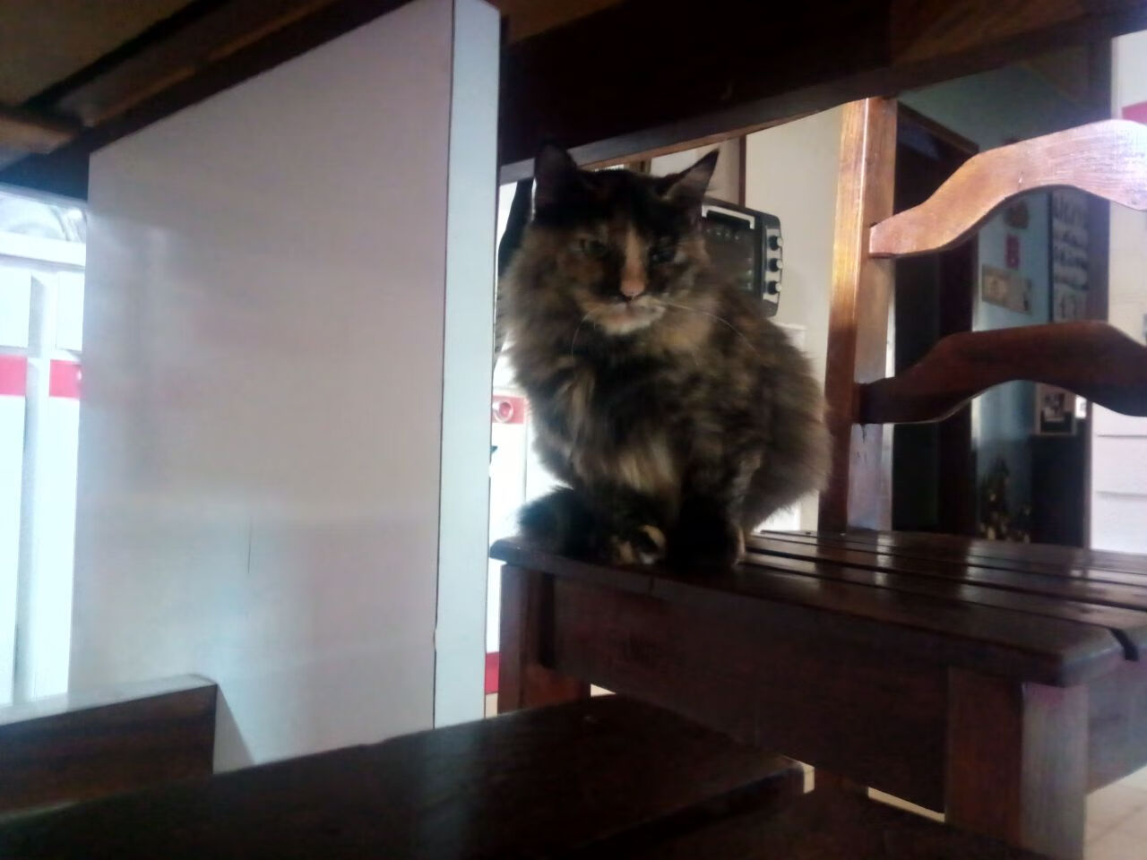 斯洛伐克女篮在欧洲锦标赛中迎战强敌，冲击奖牌目标，斯洛伐克晋级欧洲杯之路